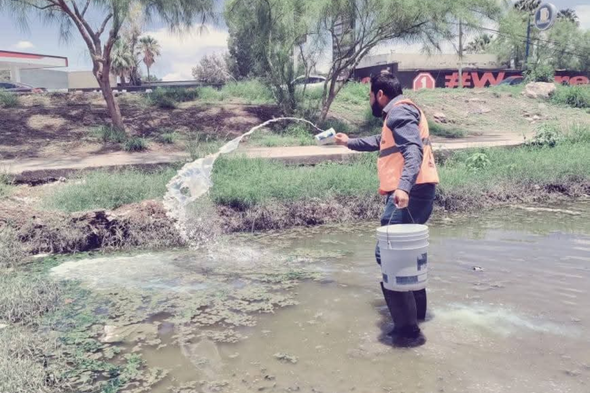Refuerzan acciones contra el dengue con aplicación de abate líquido en San Pedro