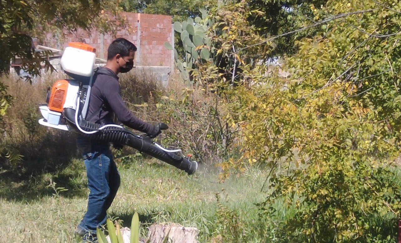 No se registran caso de dengue en Parras, directora de Clínica Municipal
