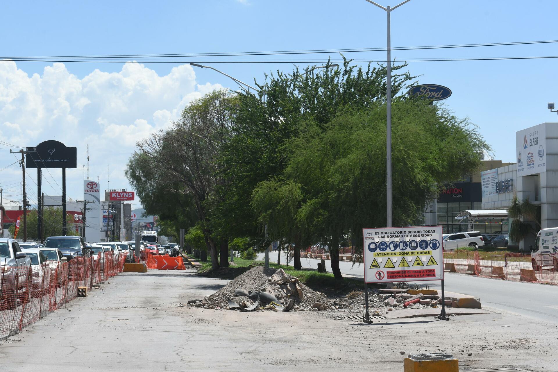 Convocan a protesta este jueves contra tala de árboles en bulevar Independencia de Torreón