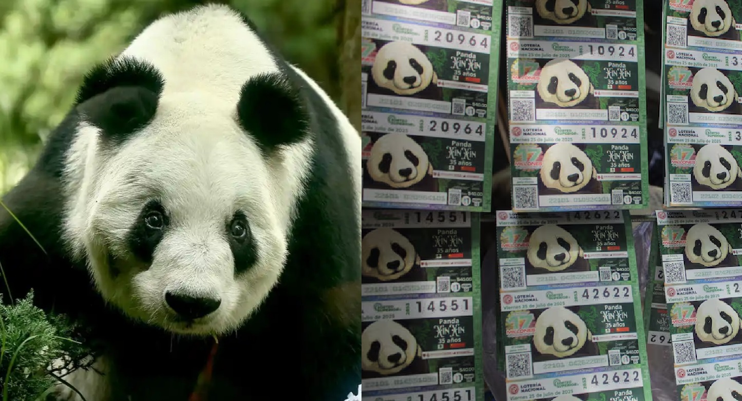 Xin Xin (EL UNIVERSAL)