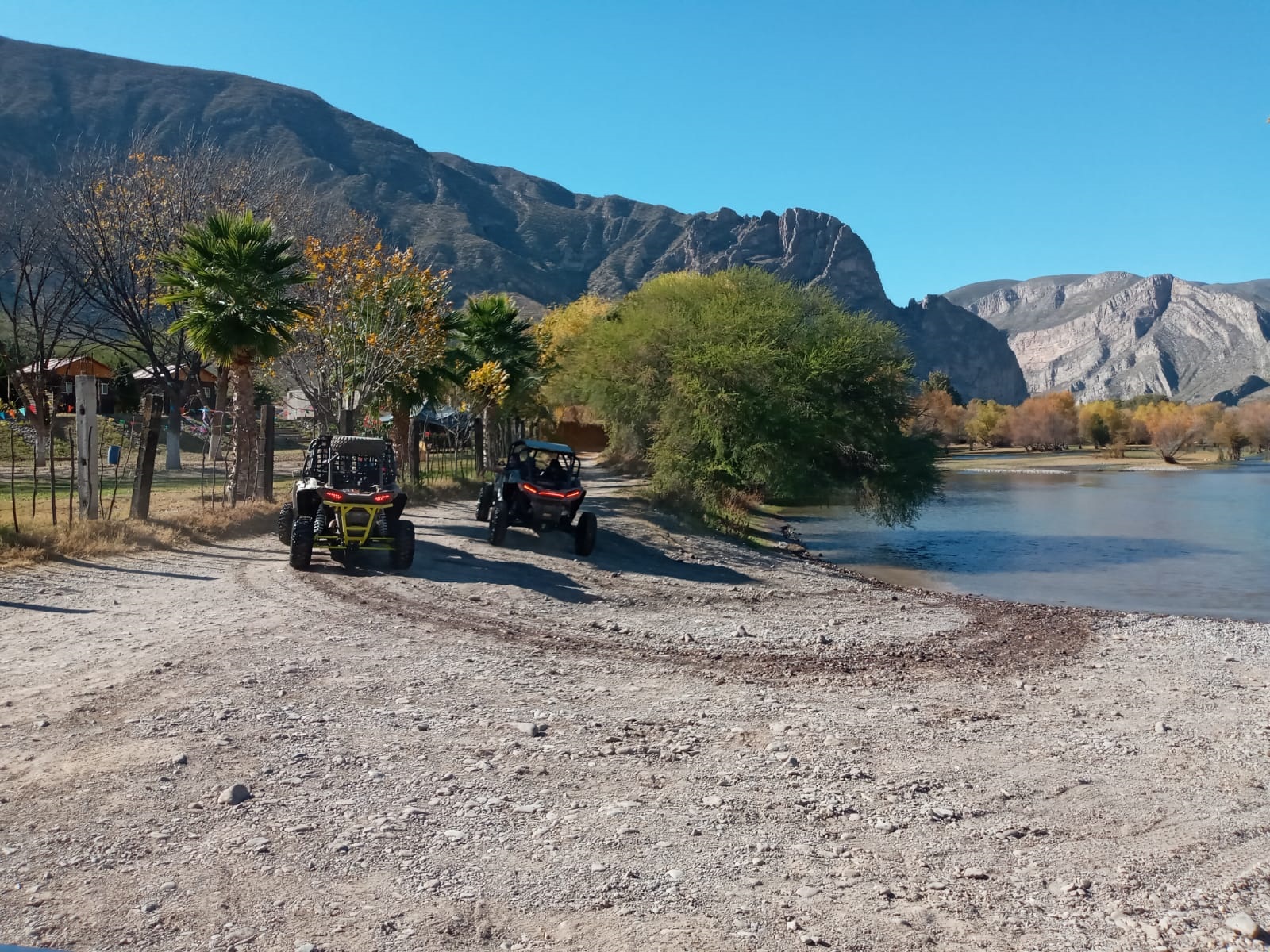Denuncian atropellamiento constante de tortugas por vehículos 'racers' en el Cañón de Fernández