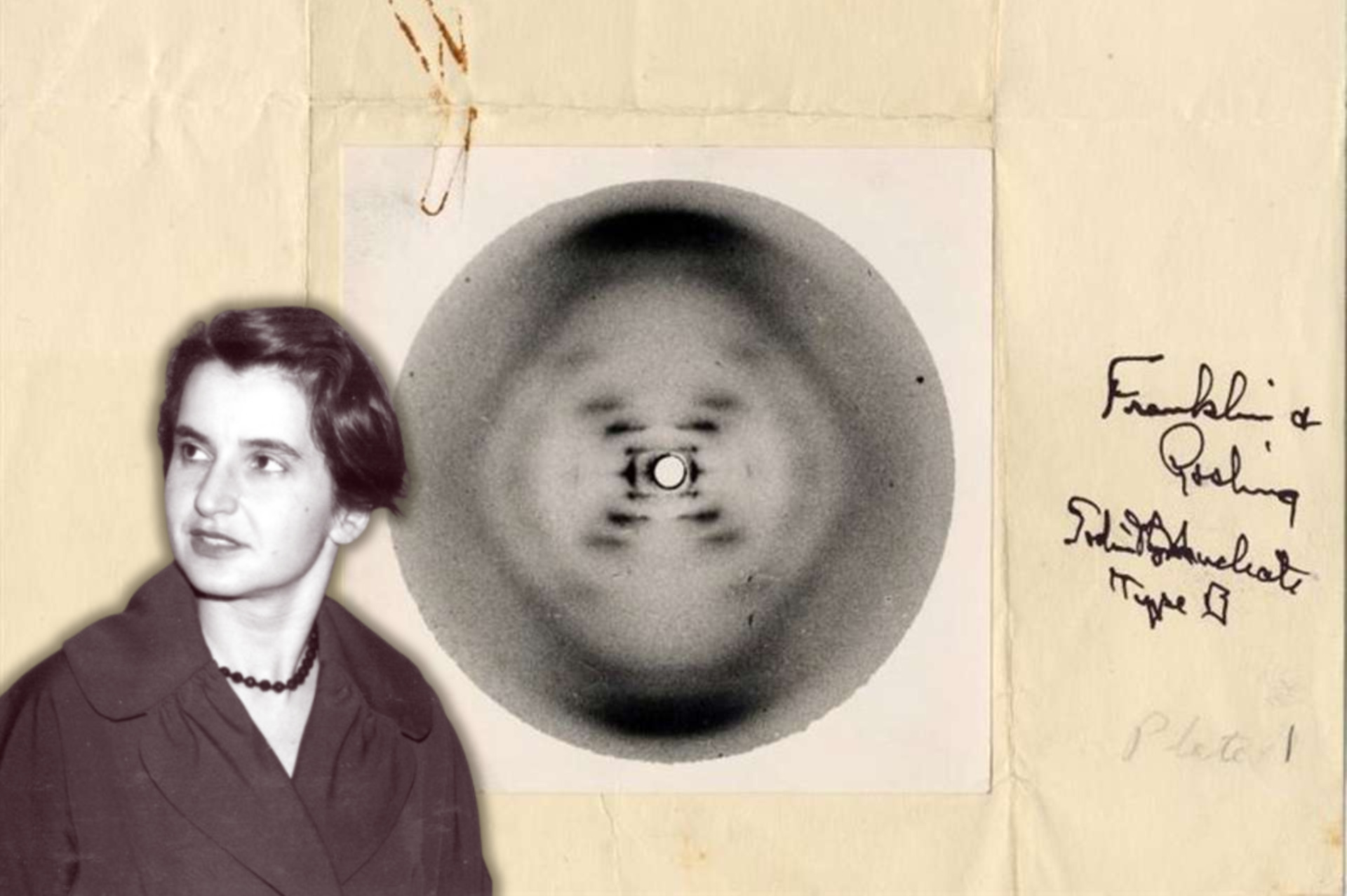 La primera imagen del ADN: el legado invisible de Rosalind Franklin