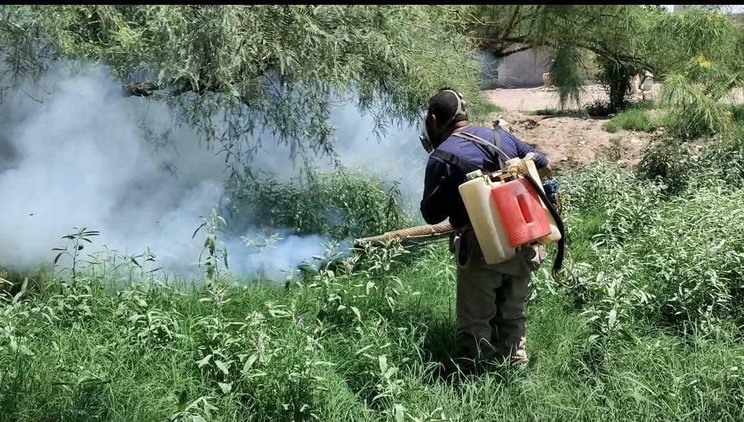 Acciones preventivas contra el dengue son permanentes: director de Salud de San Pedro