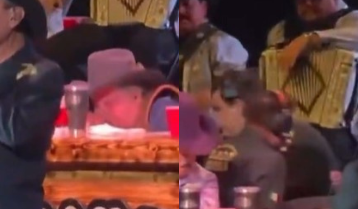 Eliseo Robles se desmaya en pleno concierto | VIDEO
