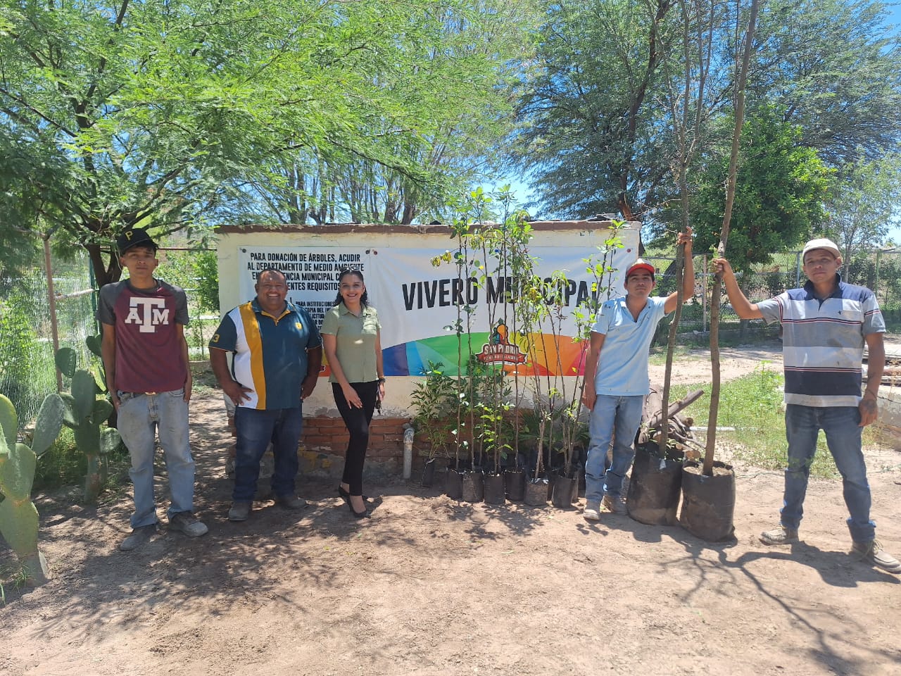 Fortalecen programa de reforestación en San Pedro