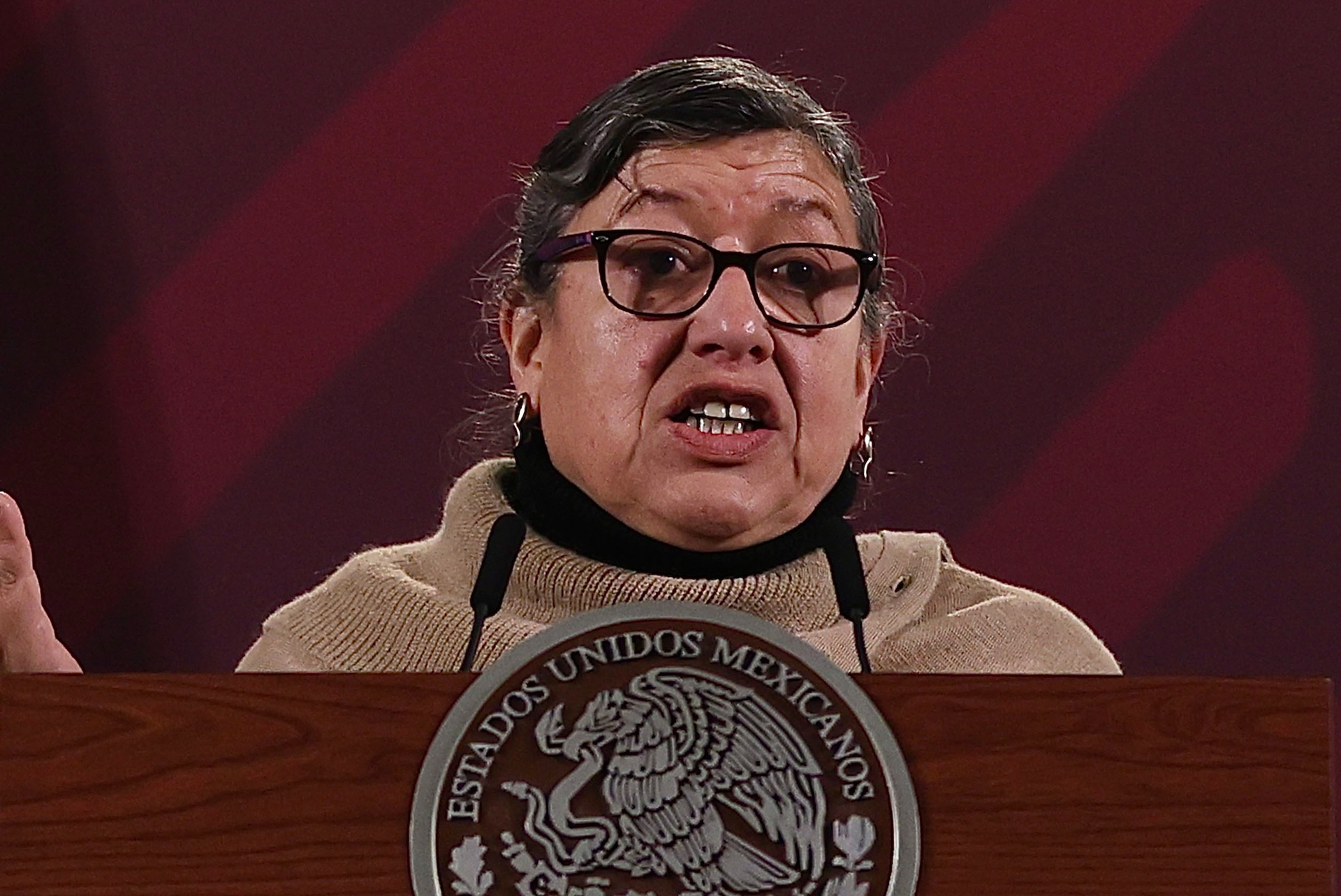Renuncia Teresa Guadalupe Reyes, titular de la Comisión Nacional de Búsqueda; Segob alista reemplazo
