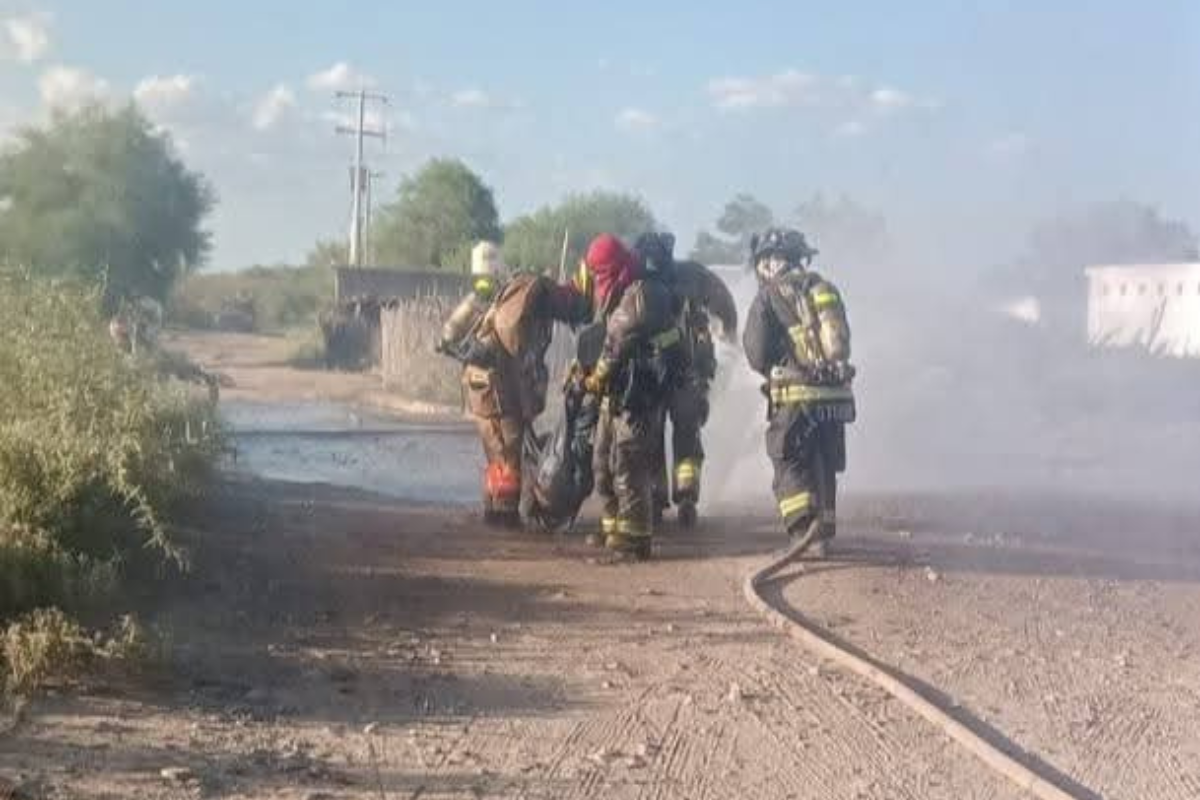 Bomberos atienden reporte de 'ataque' de abejas en San Pedro