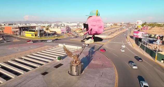 Algodón gigante causa revuelo en Torreón