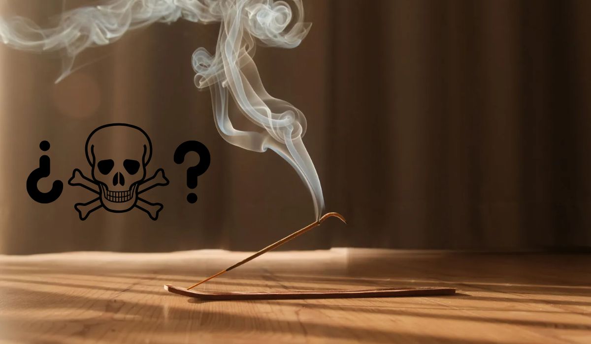 ¿El incienso es más dañino que el cigarro? Expertos revelan la verdad