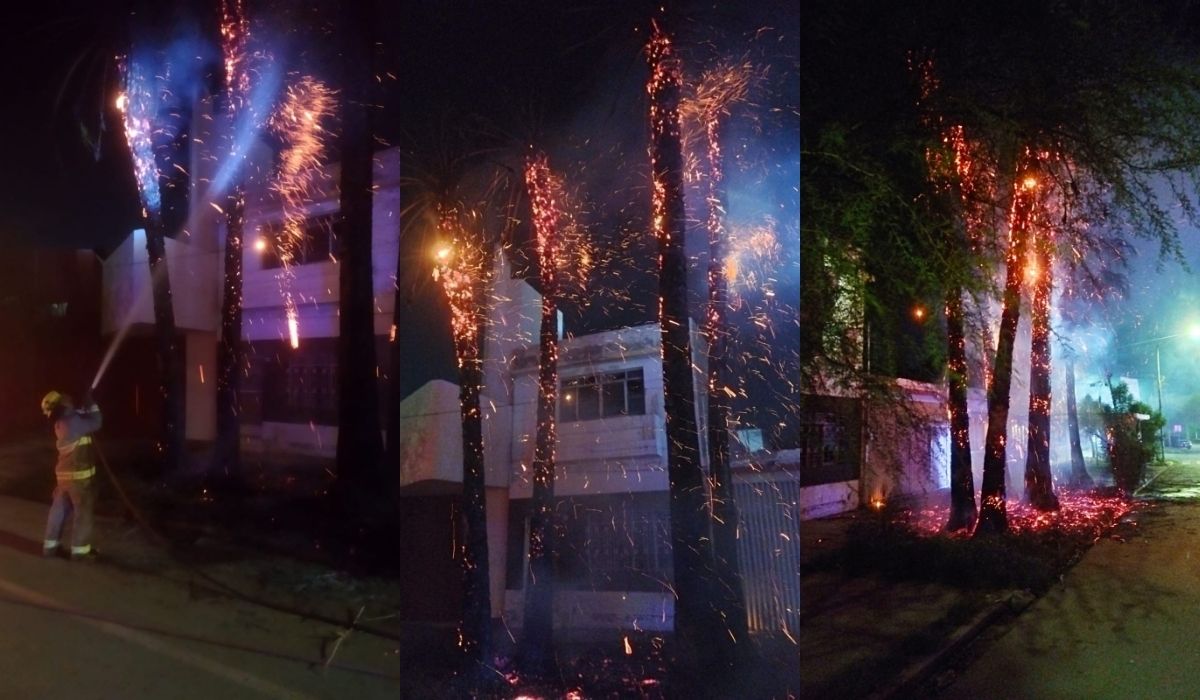 Palma se incendia en el Centro de Torreón; bomberos controlaron la emergencia