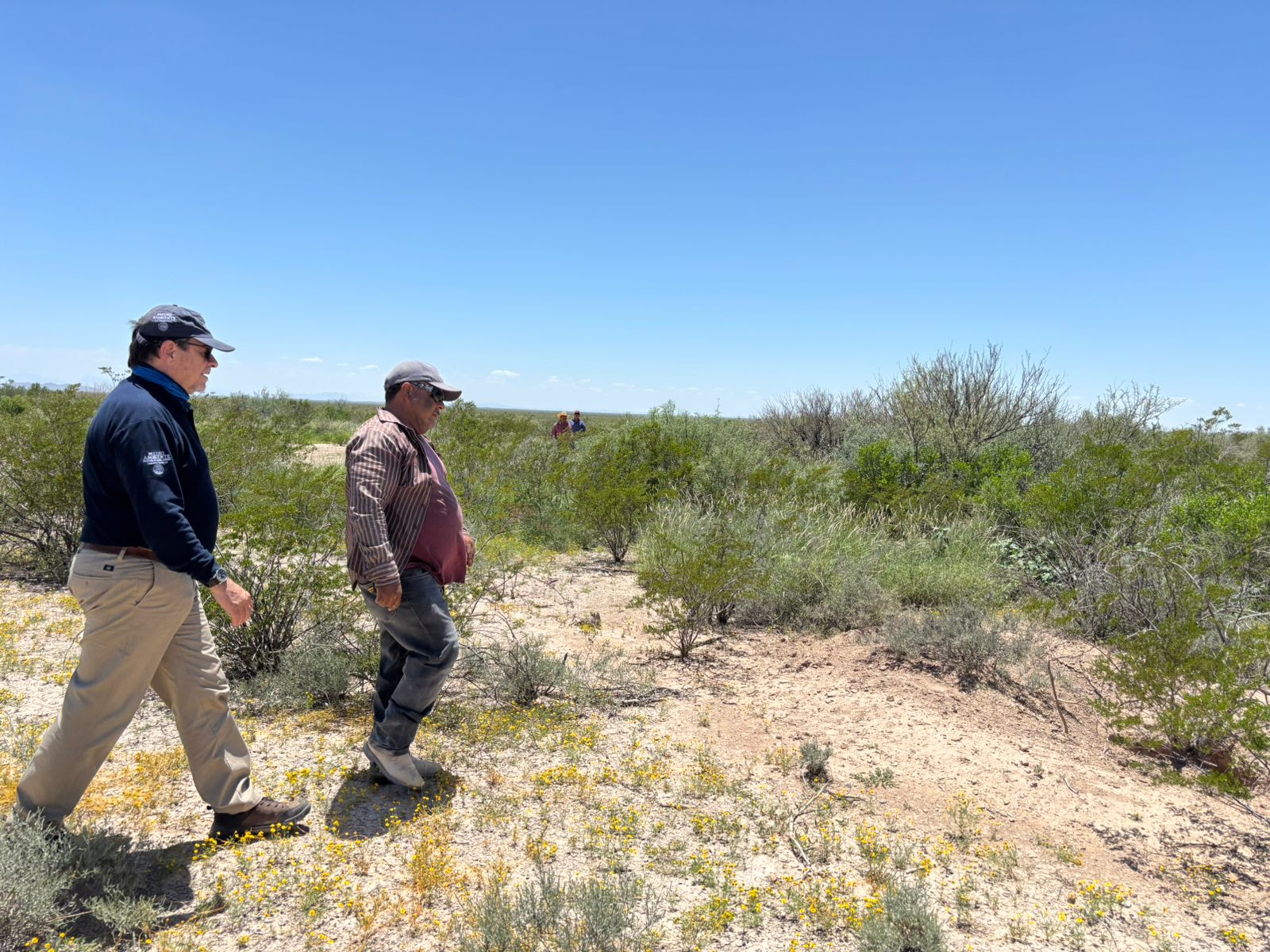 Refuerzan la conservación en la Reserva de la Biosfera Mapimí