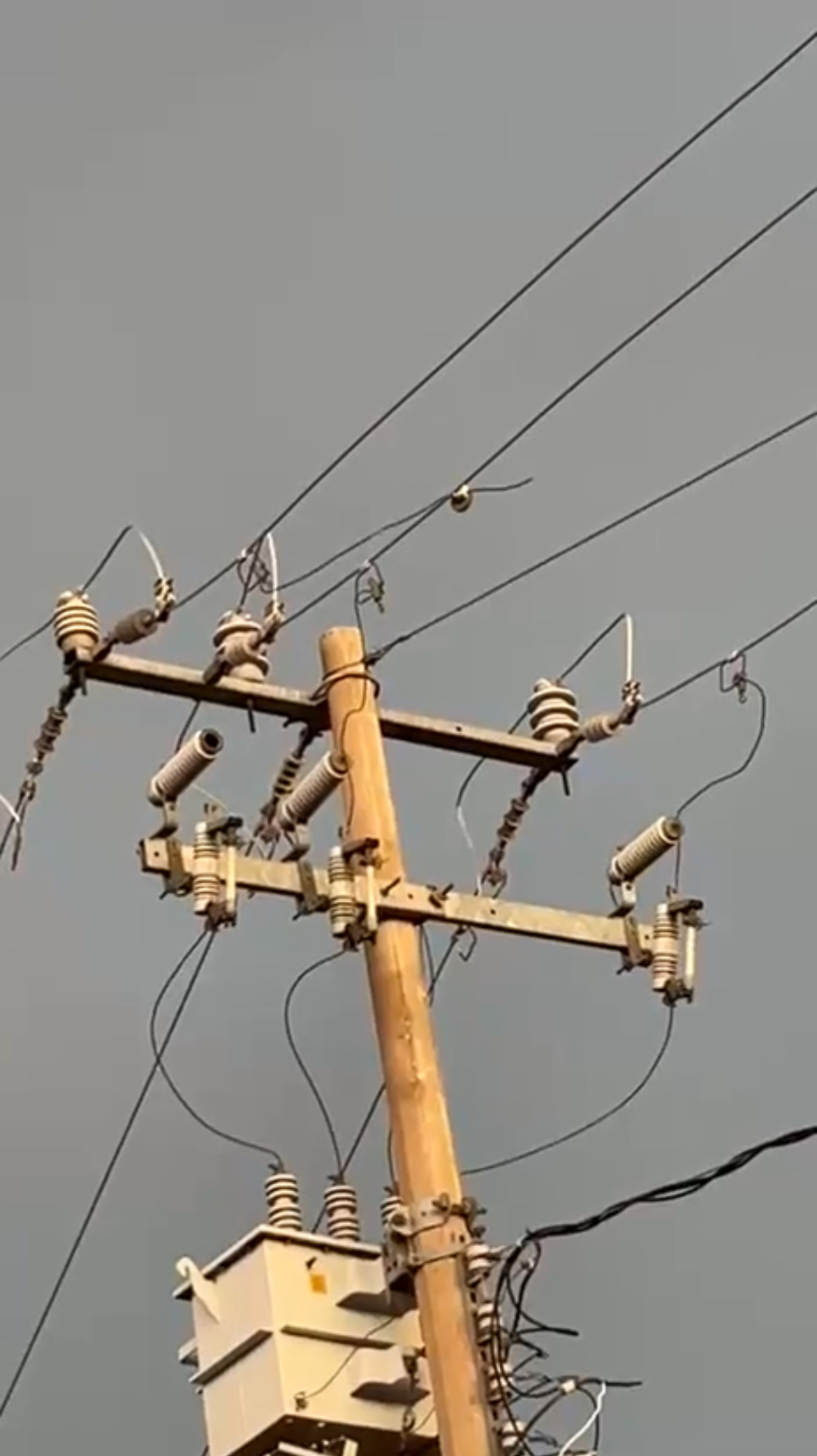 Tormenta en Monclova deja apagones, daños eléctricos y afecta a comercios