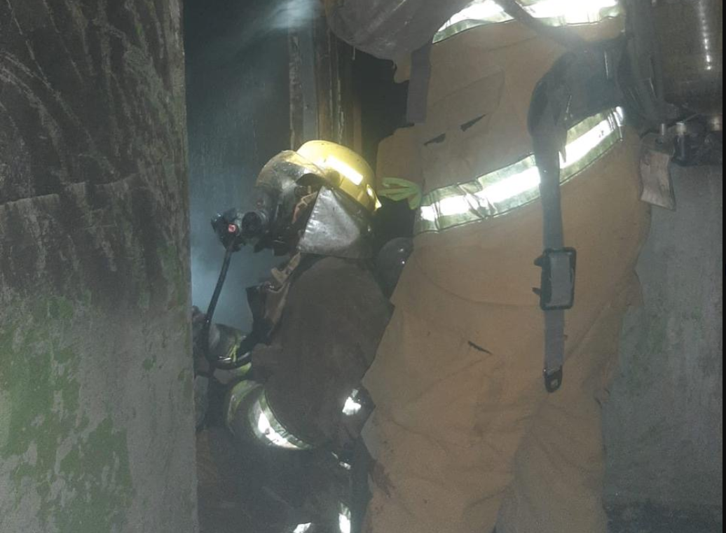 Bomberos rescatan a perrito durante incendio en Lerdo