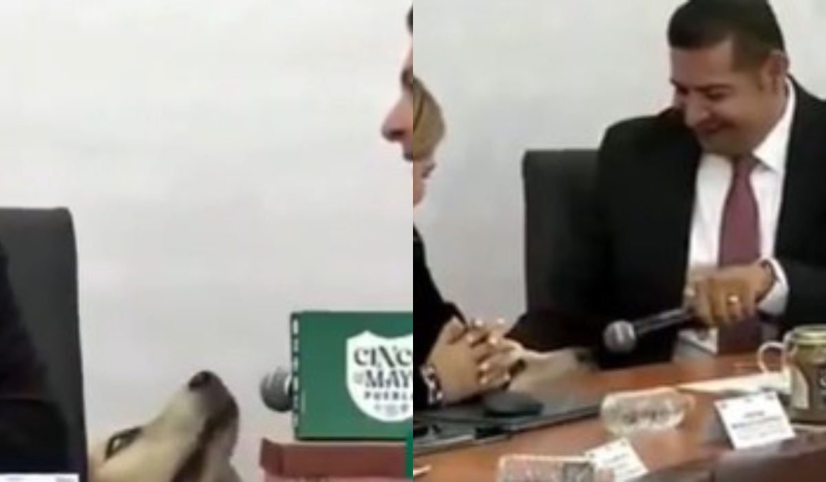 Gobernador de Puebla lleva a su perro 'Tommy' a reunión | VIDEO