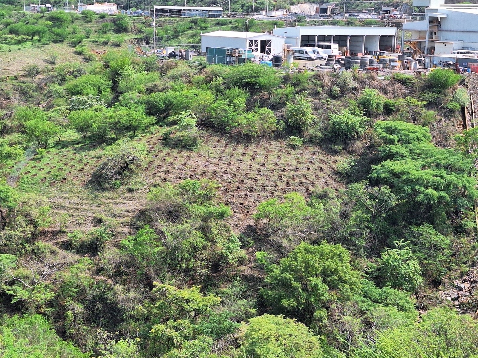 Peñoles impulsa la conciencia ambiental en sus comunidades vecinas