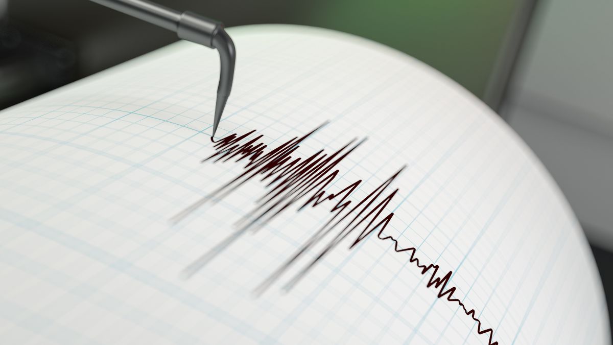 En solo once días, se registraron más de diez terremotos mayores a 6.0/ Especial