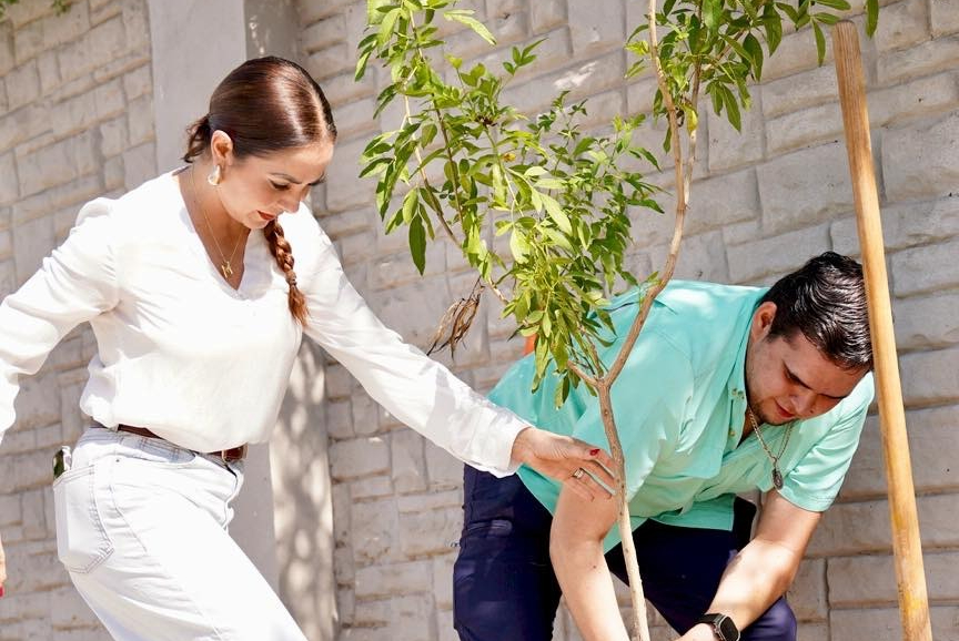 A través del programa 'Torreón más verde', reforestan bulevar Las Quintas