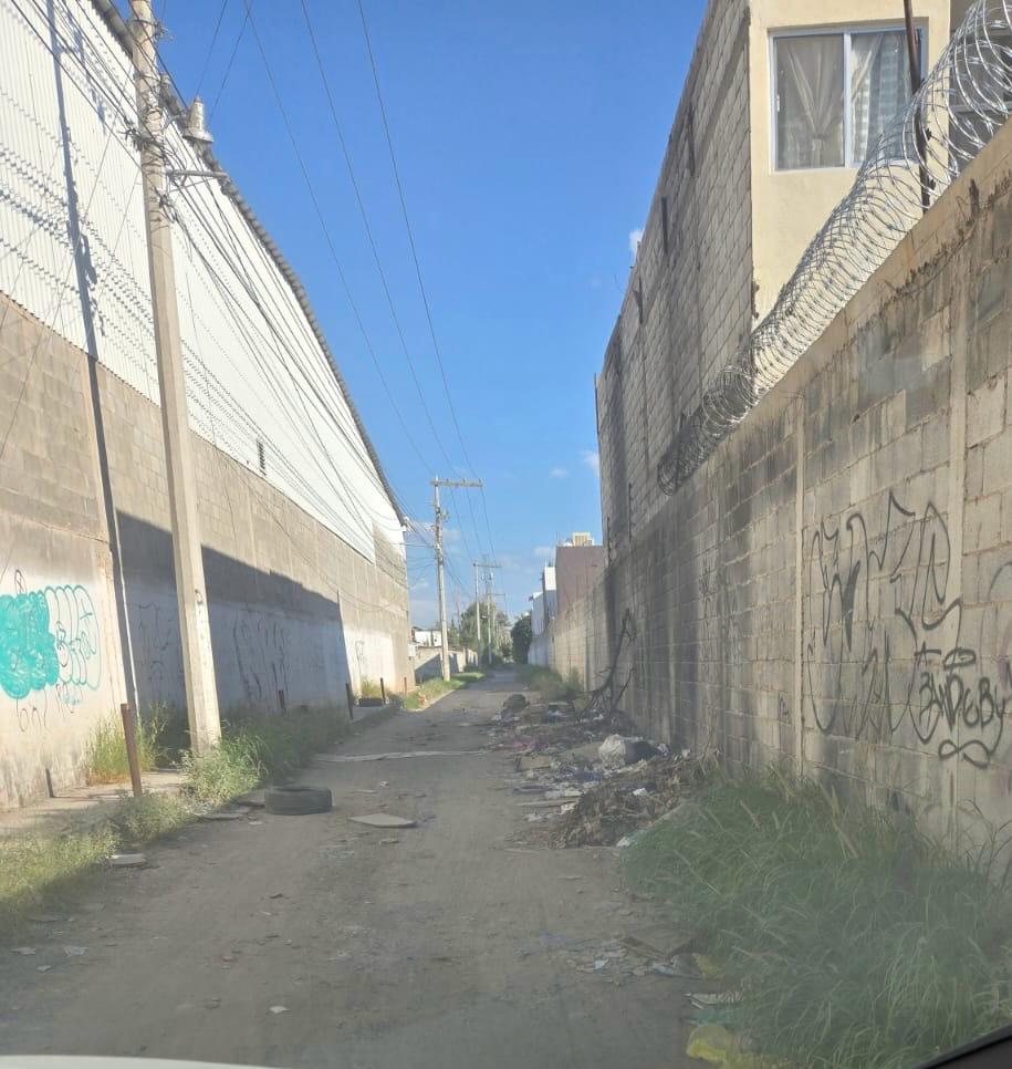 Sin atender, petición de limpieza de calle Rinconada de las Azaleas