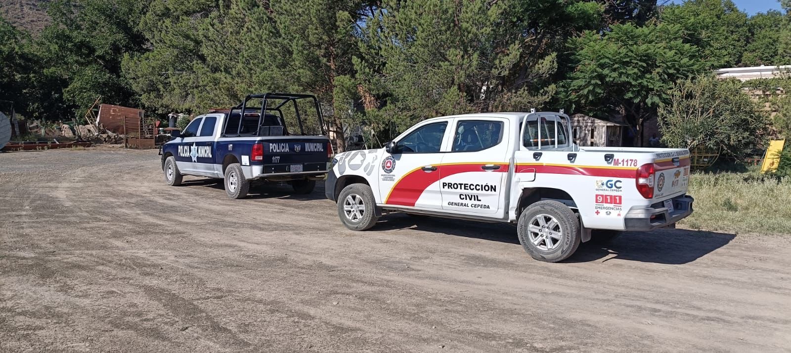 Encuentran sin vida a hombre en un árbol en General Cepeda