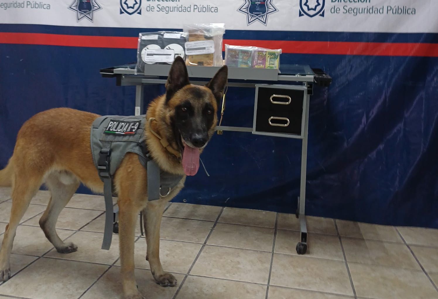 Aseguran paquete con droga en paquetería de Torreón