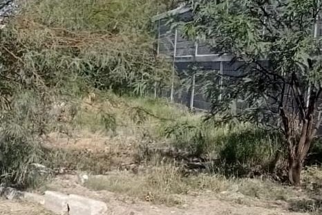 Desarrollo Urbano de San Pedro advierte sobre posible fraude por venta de terrenos irregulares