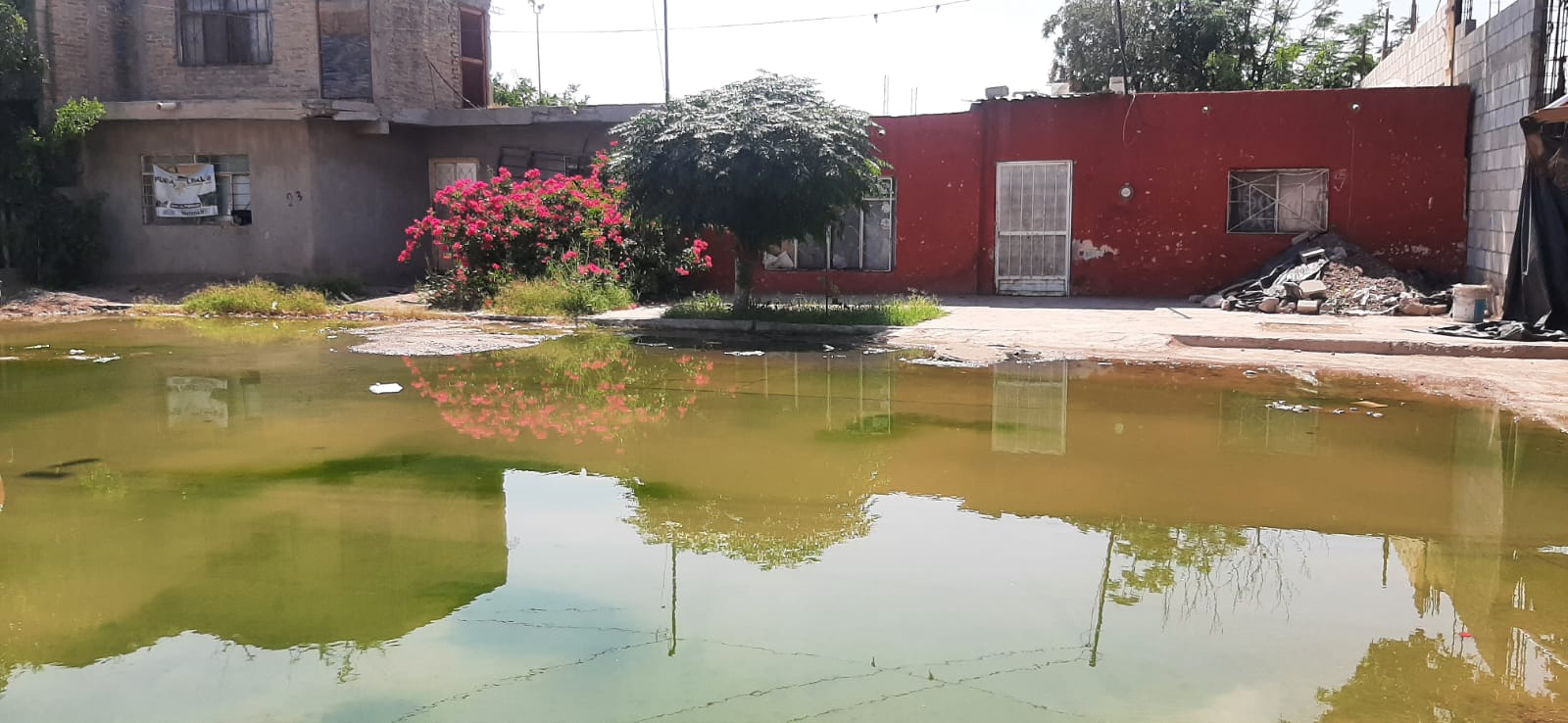 AGUAS NEGRAS. Muchas de estas casas ya no tienen una forma de acceso que implique no atravesar las aguas negras.