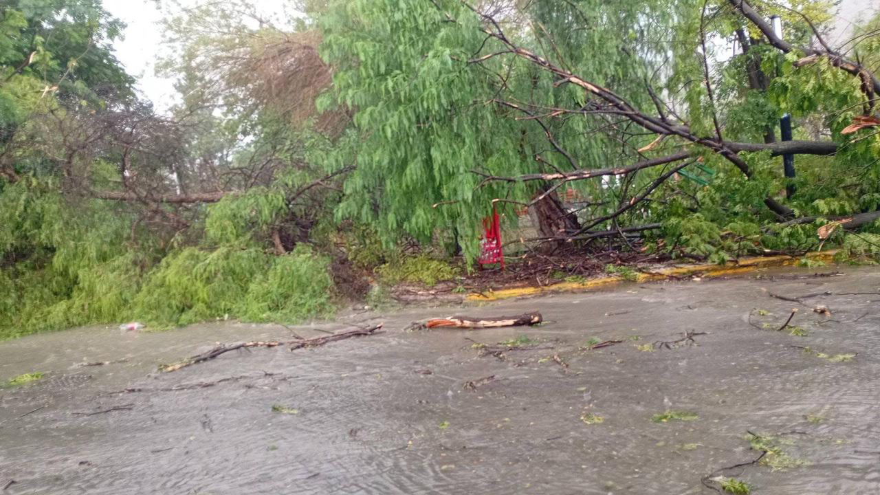 Reportan en Ramos Arizpe daños por lluvia y ráfagas de viento