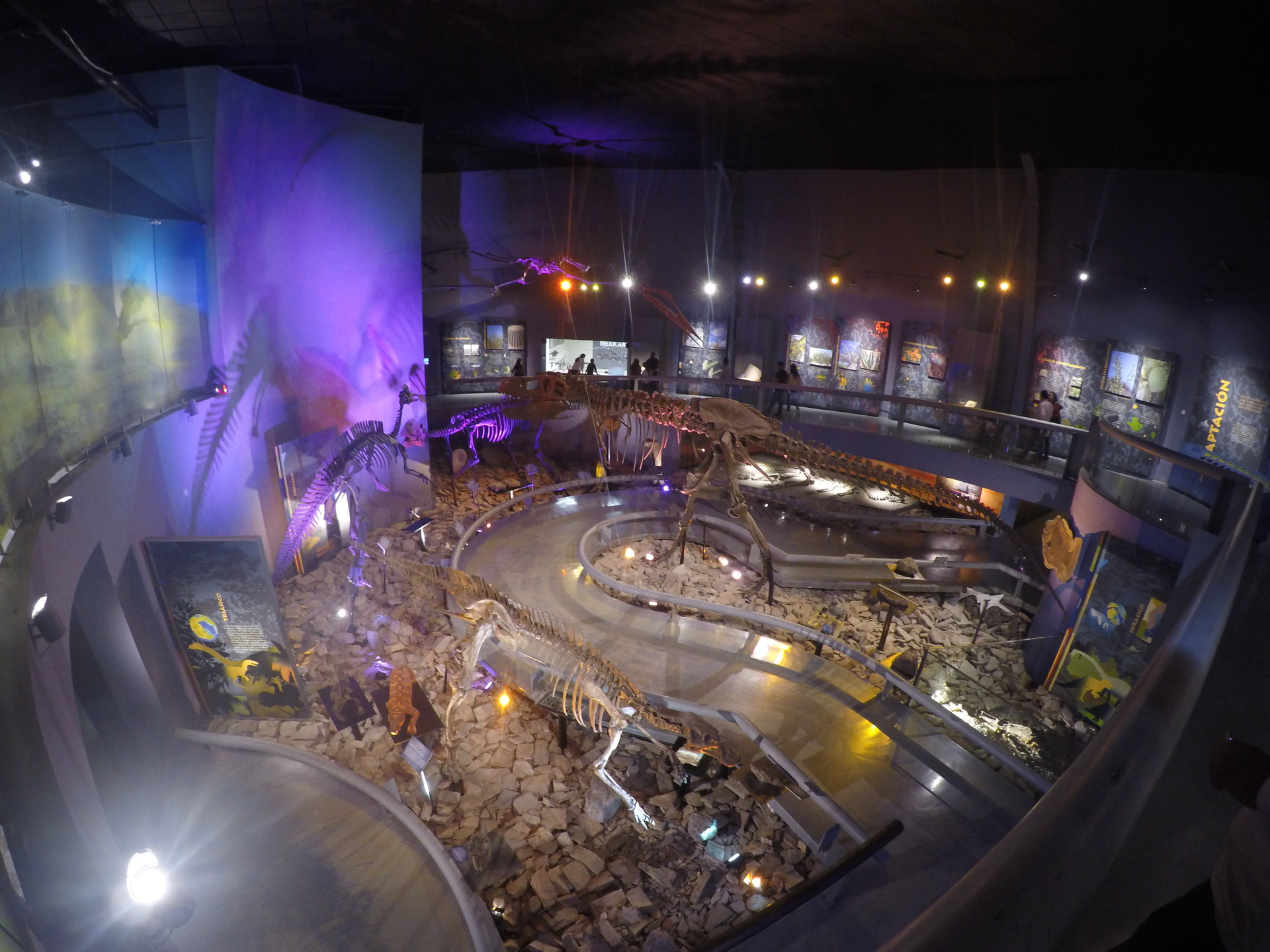 Museo del Desierto en Saltillo: horarios, precios y experiencias que no te puedes perder