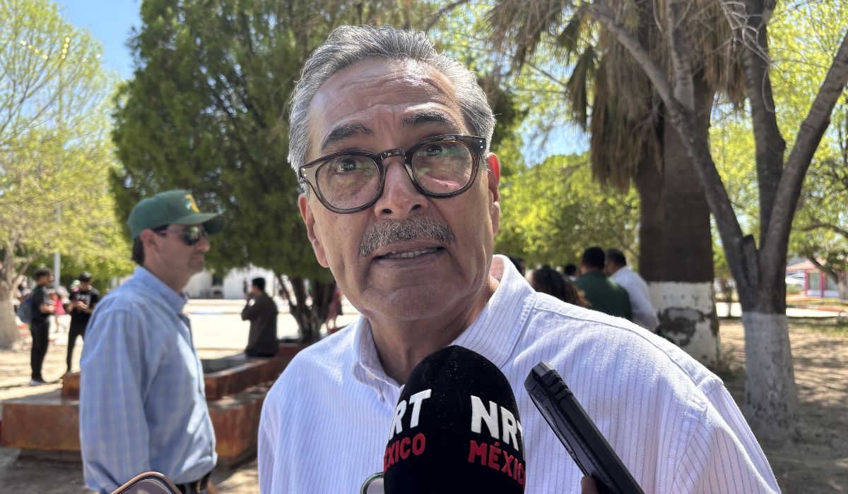 “Cíclicos” despidos y recontrataciones en las empresas: CTM