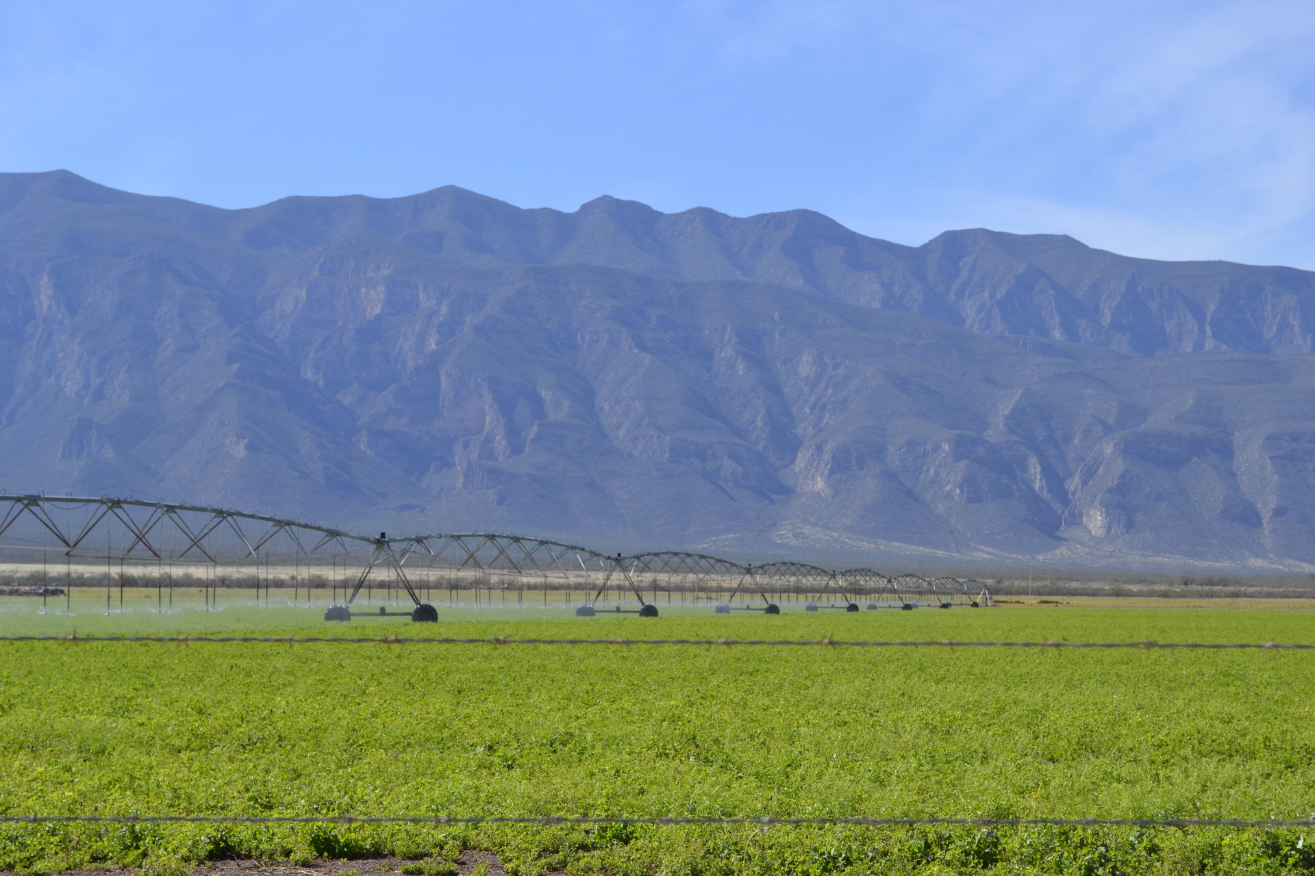 ¿Estará La Laguna entre planes de Conagua para destinar el agua de riego al consumo humano?