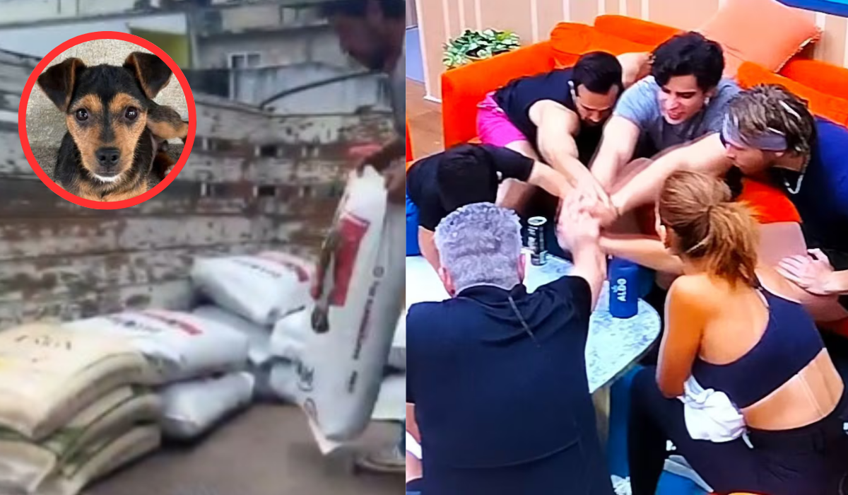 Este es el albergue animal que recibió la donación prometida por el Cuarto Noche