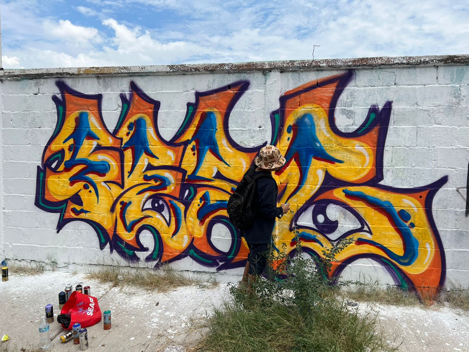 Actividad. Se convocó a los jóvenes a plasmar su talento en una barda perimetral ubicada sobre la
calle Delicias.