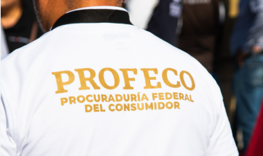 Regreso a clases digital: Profeco recomienda apps educativas para aprender, organizarse y concentrarse