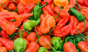 El chile aporta vitamina C y capsaicina, clave para fortalecer los huesos y reducir inflamaciones/ Especial
