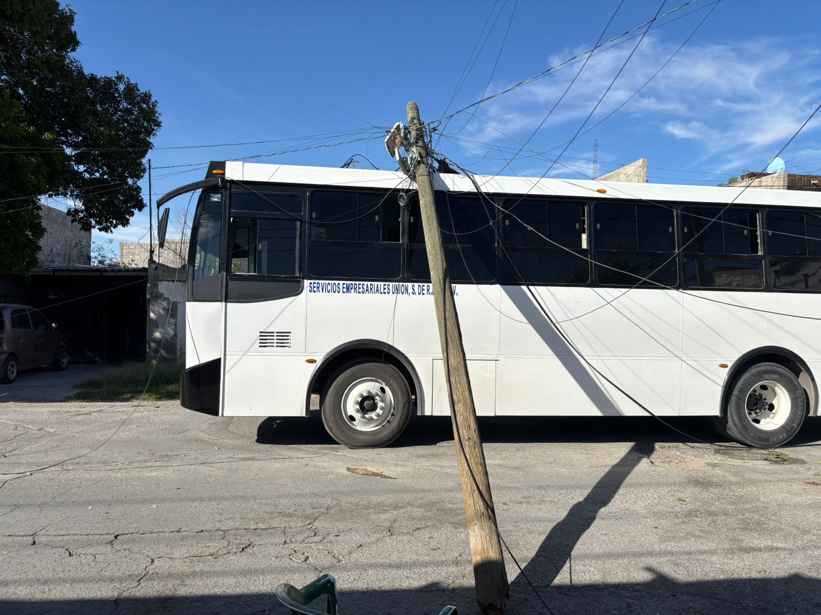siglonet-229588