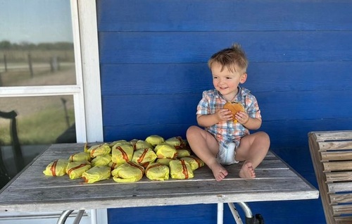 Niño de dos años ordena 31 hamburguesas con el teléfono de su madre