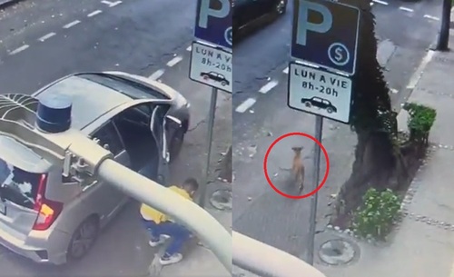 VIDEO: Captan a sujeto abandonando a un perrito en la vía publica