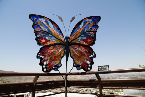 La Mariposa de la Esperanza.