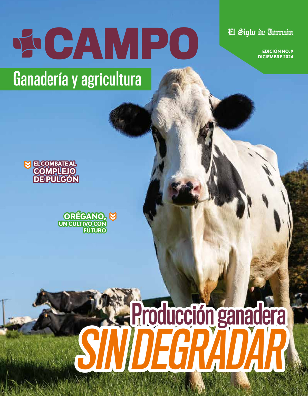 Suplemento Más Campo