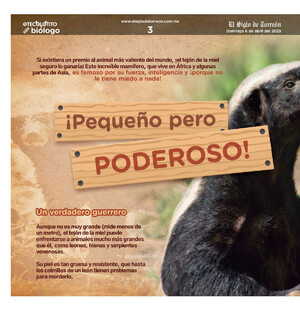 06teco04